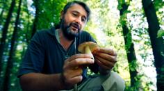 Houby, které prošly mrazem, mohou být jedovaté. Mykolog vysvětluje důvod