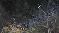 Mladík na Českokrumlovsku našel pod skálou mrtvolu!