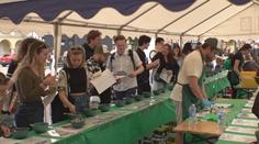 Hodnocení okurek i pití láku. Festival nakládané zeleniny nabídl rozmanité chutě