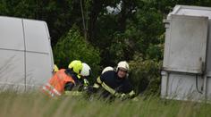 U silnice se našly mrtvé exotické šelmy. Případ vyšetřují kriminalisté