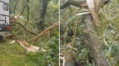 Na stany padají větve a stromy! Kemp přesto dál přijímá návštěvníky