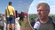 Farmář nabídl zeleninu za pakatel. Lidé ji kradli a vyhrožovali mu zabitím