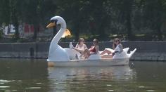 Vltava je přeplněná šlapadly! Opilí turisté na nich ohrožují větší lodě