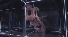 Významný milník pro paleontologii. Vědci našli lebku nového dinosaura