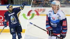 Plekanec naštval fanoušky Brna: Kašpar odešel jen kvůli jeho platu!