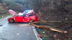 Silný vítr si v Česku vyžádal první oběť, strom spadl na projíždějící auto
