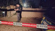 Policie ve Zvoli zastřelila lva. Měl napadnout ošetřovatele