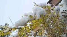 Meteorologové varují před novým sněhem, oteplí se až příští týden