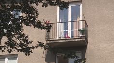 "Křičela jednu adresu!" Žena promluvila o vraždě holčičky (3)
