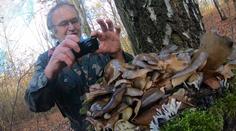 Houbaři si stále nosí z lesa plné košíky. Letošní sezóna houbám přeje