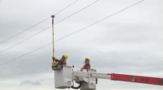 Energetici instalují na dráty ochranné prvky. Mají bránit zbytečným úmrtím ptáků