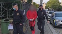 Mladík na Karlovarsku měl zavraždit seniora. Hrozí mu doživotí!