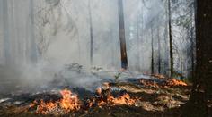České Švýcarsko v plamenech! Hoří národní park, platí 2. stupeň poplachu