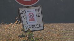 Myslivci postříleli tisíc divočáků. Mor má udržet ohradník