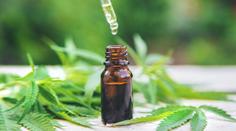 Do Česka vtrhla nová droga, kupují ji děti. Je 30krát silnější než marihuana