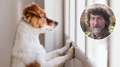 Konec karantény! Rady, jak připravit pejska na náš odchod do práce