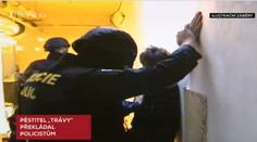 ŠOKUJÍCÍ ODHALENÍ: Policejní tlumočník pěstoval marihuanu ve velkém!