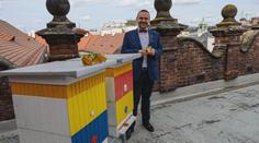 Mlsání z radnice. Sedmnáct kilogramů medu stočilo město Plzeň z úlů