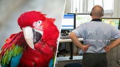 Muž v Liberci zavolal policii na obřího papouška. Ničí tu stromy, stěžoval si
