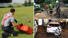Hasičské kuriozity: Tekutý písek, kachňata i dítě uvízlé v domečku