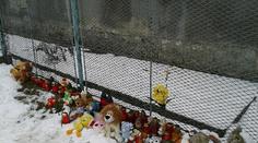 Policie: Čtyřletou holčičku z České Lípy zavraždila matka!