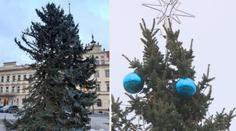 Křivé vánoční stromy: Ostuda města, nebo mají dostat šanci? ANKETA