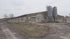 Na Pardubicku je další ohnisko ptačí chřipky. Opět se jedná o velký chov