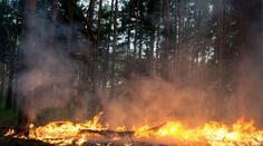 ČHMÚ vydal výstrahu. Kvůli úmorným vedrům v Česku hrozí nebezpečí požárů