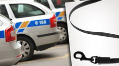 Honza (26) uškrtil prostitutku (†65) vodítkem! Soud ho potrestal