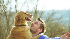 Není to jen čipování! Za tohle všechno hrozí pejskařům pokuty