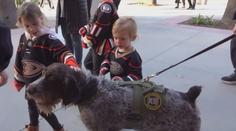 Psi vychovaní u nás zajišťují bezpečnost v NHL. Reagují jen na povely v češtině