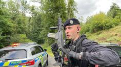 U Prahy hledali běhajícího medvěda. Video bylo falešné, zjistila policie