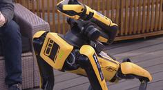 Robotický pes z ČVUT prozkoumal pražské podzemí, pořídil při tom 3D mapu