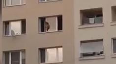Video šokovalo Slovensko. Holčička se v sedmém patře procházela po parapetu
