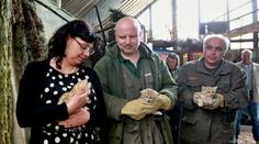 OSOBNÍ DOTAZNÍK ministryni Marksové: Co si o ní myslíte? A co na sebe práskla ona sama?