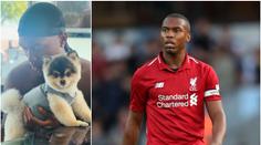 Sturridge řeší na dovolené nepříjemnost! Ukradli mu milovaného psa