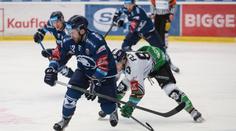 Osmifinále hokejové extraligy: Série vyrovnány, Plzni stačil jediný gól