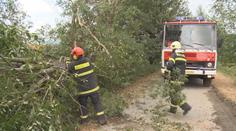 Česko zasáhly silné bouřky. Hasiči vyjížděli k několika popadaným stromům