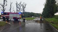 Silné bouřky v Česku rvaly stromy. Hasiči hlásí desítky výjezdů
