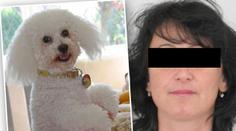 Jitka (48) se stále nenašla! Někdo jí mohl ublížit, řekla policie
