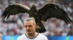 Skončí oblíbený maskot německé Bundesligy? Jde o týrání zvířat, říká PETA