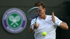 Šafářová a Berdych o čtvrtfinále. Co dál uvidíte z Wimbledonu?