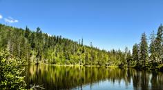 Kdysi mrtvé jezero žije! Našli i tvora napůl rostlinu, napůl živočicha!