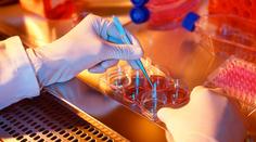 Přelomová metoda. Lékařům se zřejmě podařilo vyléčit dalšího člověka s HIV