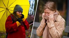 Přižene se v listopadu zimní počasí? Modely ukázaly, co čeká střední Evropu