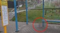 Šokující nález v Ostravě! Tohle byste na zastávce neměli zapomenout