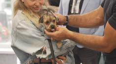 V Karlovarském kraji otevřeli novou veterinární kliniku. Má fungovat nonstop
