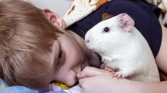 Nebezpečí od domácích mazlíčků. Děti můžou nakazit ošklivou nemocí