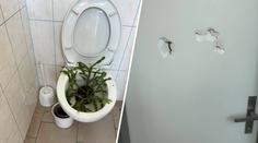 Žáci měli frustraci z konce prázdnin. Hned první den zdemolovali hořickou školu