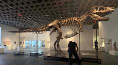 Kostra obřího tyranosaura má nového majitele. Prodala se za bezprecedentní částku